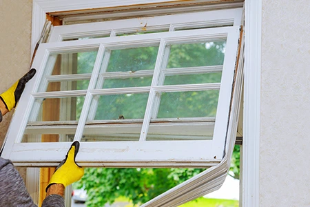 Window Replacement in Pine Hills, FL